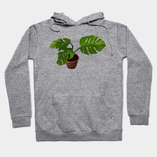 Monstera Deliciosa Hoodie